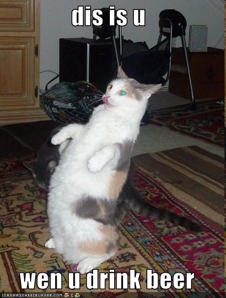 funny-pictures-cat-does-imitation-of-you.jpg