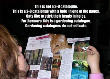 gardening.jpg